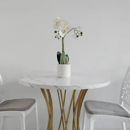 Apartment Cosy Climatise Dans Le Carre D Or Nice